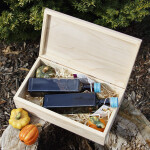 Kiste mit Klappdeckel, Holzkiste 28,5 x 16,5 x 8 cm