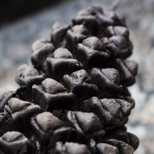 Kerze in Form eines Tannenzapfens, Figurenkerze, Weihnachtskerze