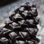 Kerze in Form eines Tannenzapfens, Figurenkerze, Weihnachtskerze