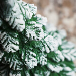 Fest-Tageskerze, Tannenbaum aus Wachs als Weihnachtskerze, Figuren Kerze