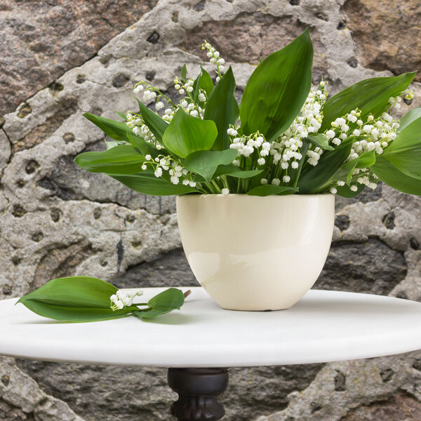 Schale aus glasierter Keramik 3 Liter Pflanzen Übertopf doppelwandig Blumentopf