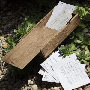 Kiste aus Holz mit Schiebedeckel und 2 Fächern, 32 × 21 × 6 cm