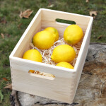 Offene Aufbewahrungskiste aus Vollholz 30 x 20 x 13 cm