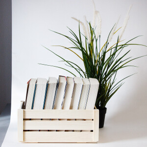 Holzkiste, 4,5 Liter Holz-Stiege Obstkiste 28,5 × 17,5 × 12,5 cm