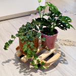 Runder natürlicher Pflanzenroller, Ø 35 cm, aus FSC-Holz